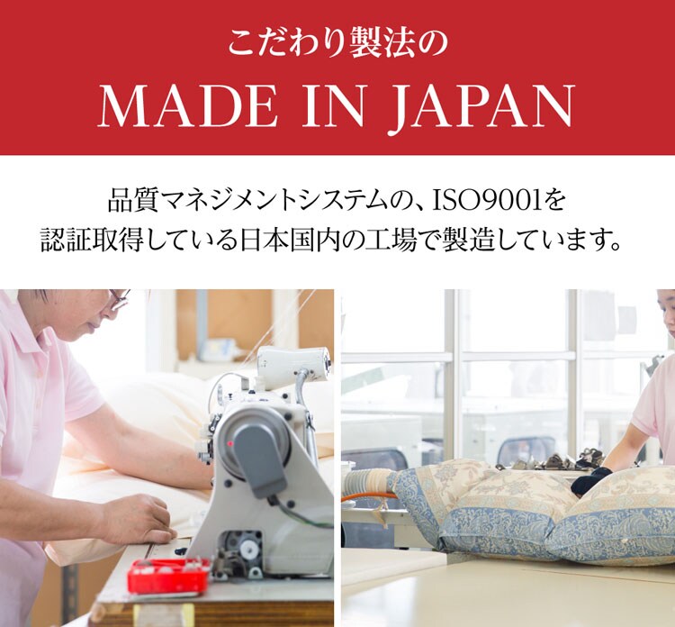 羽毛掛け敷きふとんセット シングル 10DS3110-2SETIR