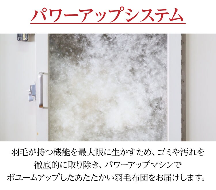 羽毛掛け敷きふとんセット シングル 10DS3110-2SETIR