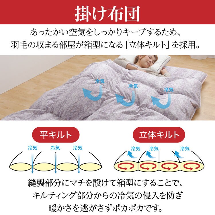 羽毛掛け敷きふとんセット シングル 10DS3110-2SETIR