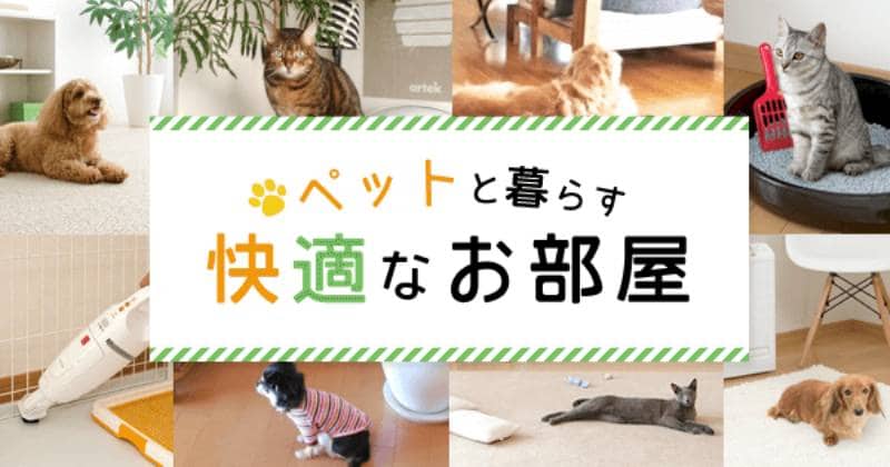 ペットと暮らす快適なお部屋 アイリスプラザ メディア