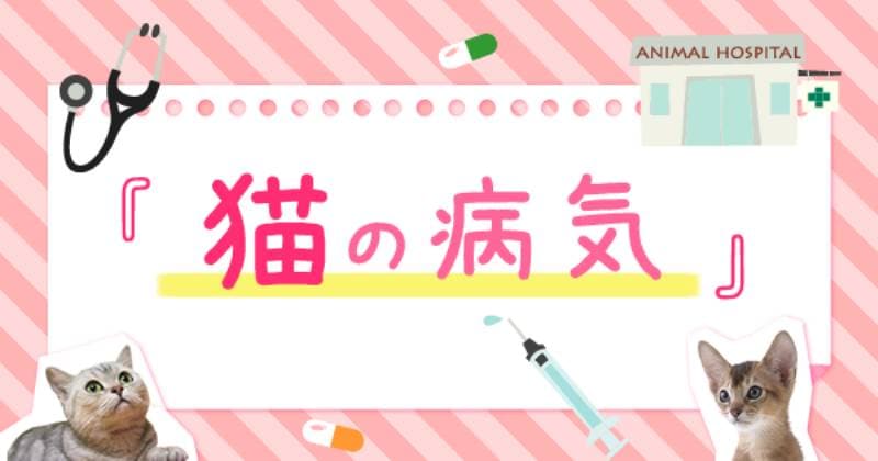 狂犬病 水 を 怖がる 理由