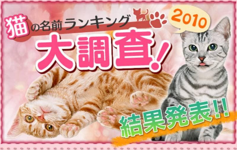 猫の名前ランキング大調査 2010 結果発表 アイリスプラザ メディア 猫の名前ランキング大調査 2010 結果発表 アイリスプラザ メディア