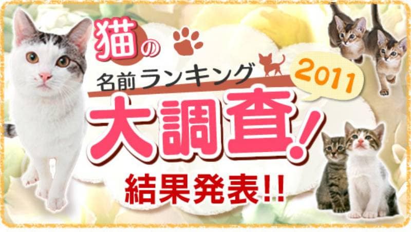 猫の名前ランキング大調査 ２０１１ 結果発表 アイリスプラザ メディア