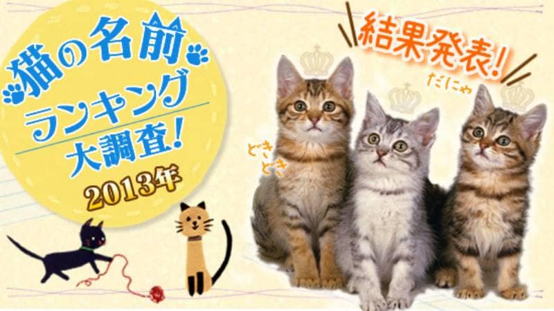 猫の名前ランキング大調査２０１３ 結果発表 アイリスプラザ メディア