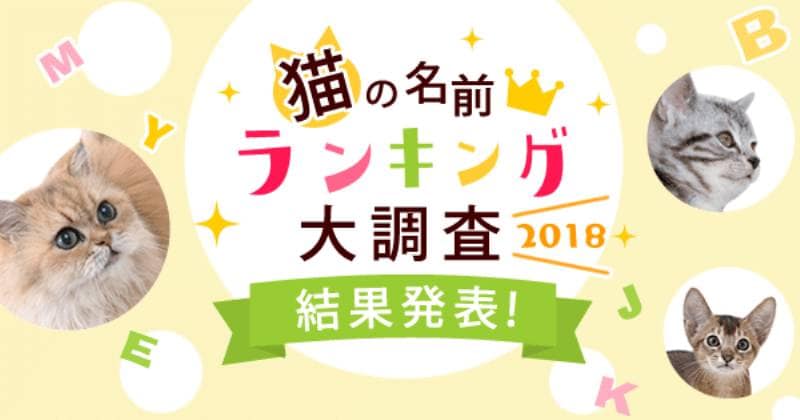 猫の名前ランキング大調査２０１８ 結果発表 アイリスプラザ メディア