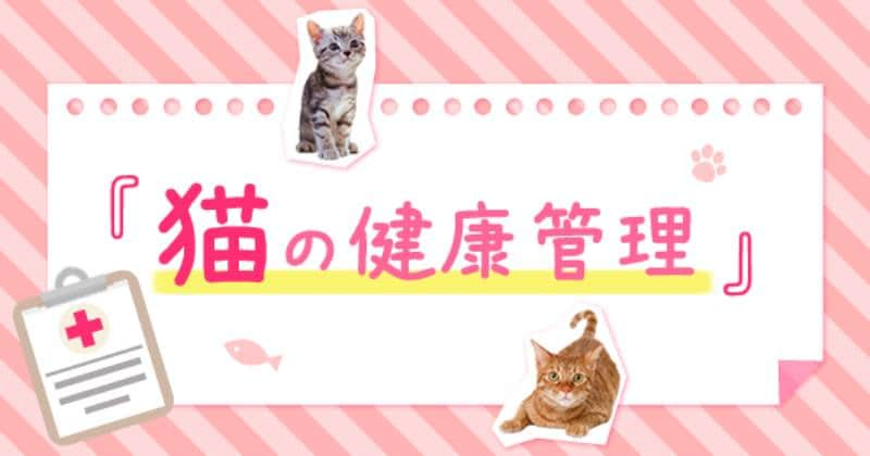 排泄物でみる健康 猫のうんち おしっこチェック アイリスプラザ メディア