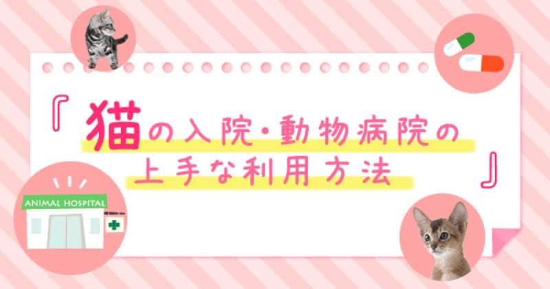 動物病院の薬のお話 アイリスプラザ メディア