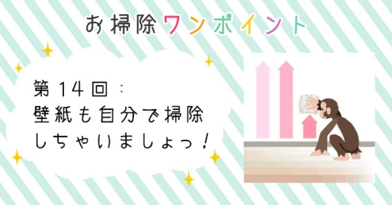壁紙も自分で掃除しちゃいましょっ アイリスプラザ メディア