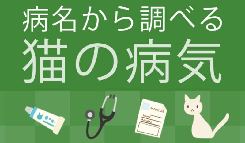 猫の血栓塞栓症  アイリスプラザ_メディア