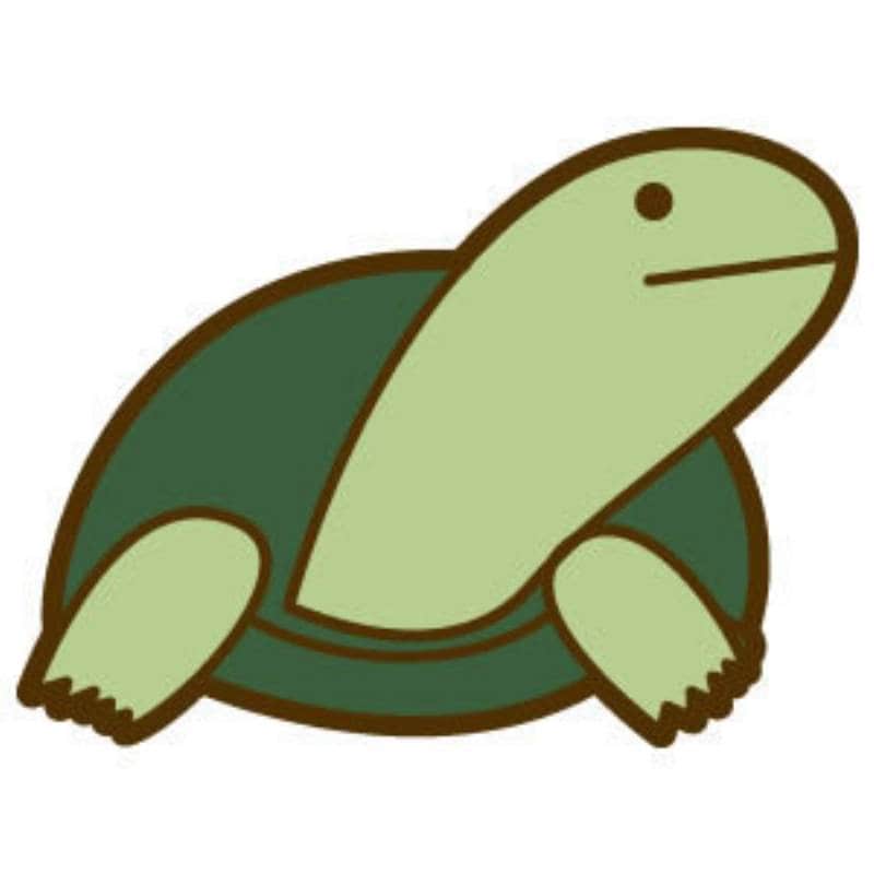 カメのビタミンａ欠乏症 アイリスプラザ メディア