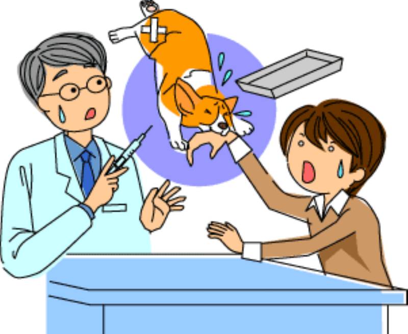 入院 動物病院の上手な利用方法 犬の麻酔 アイリスプラザ メディア