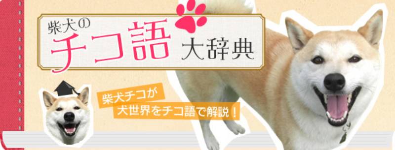 柴犬のチコ 番外編 チコの歴史 を辿る 柴犬のチコ語大辞典 アイリスプラザ メディア