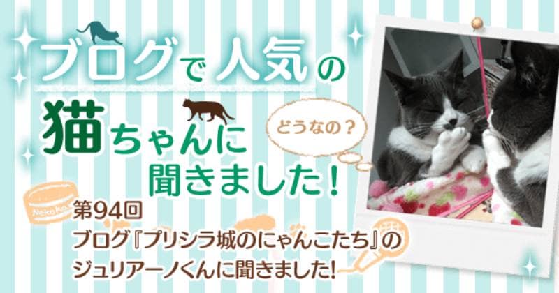 ブログ プリシラ城のにゃんこたち のジュリアーノくんに聞きました アイリスプラザ メディア ブログ プリシラ城のにゃんこたち のジュリアーノくんに聞きました アイリスプラザ メディア