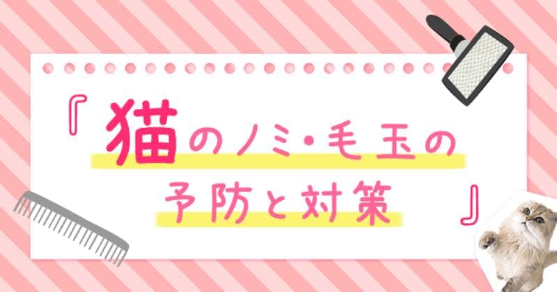 猫の毛玉対策 アイリスプラザ メディア