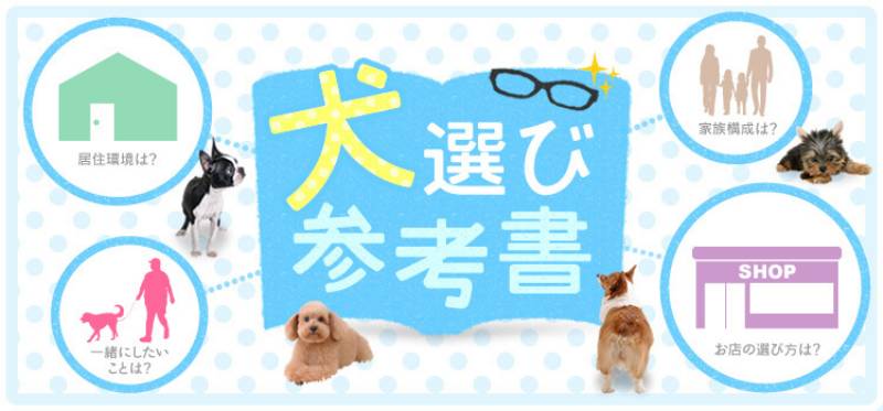 犬選び参考書 アイリスプラザ メディア