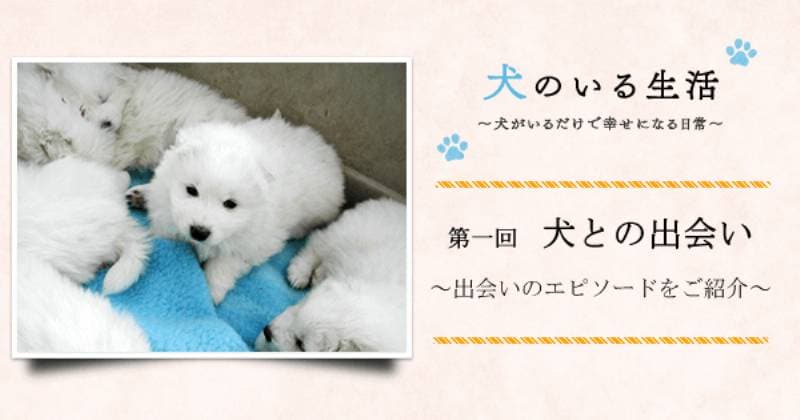 第一回 犬との出会い アイリスプラザ メディア