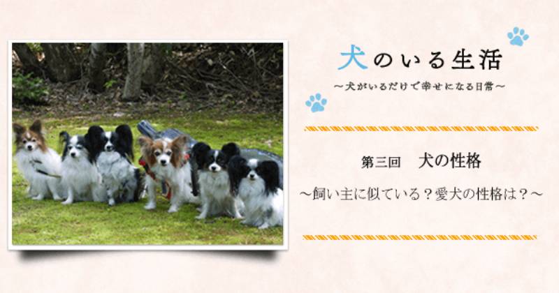 第三回 犬の性格 飼い主に似ている 愛犬の性格は アイリスプラザ メディア