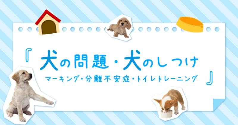 犬の行動学その2 しつけについて アイリスプラザ メディア