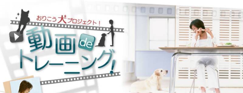 14 Leave It おりこう犬プロジェクト 動画deトレーニング アイリスプラザ メディア