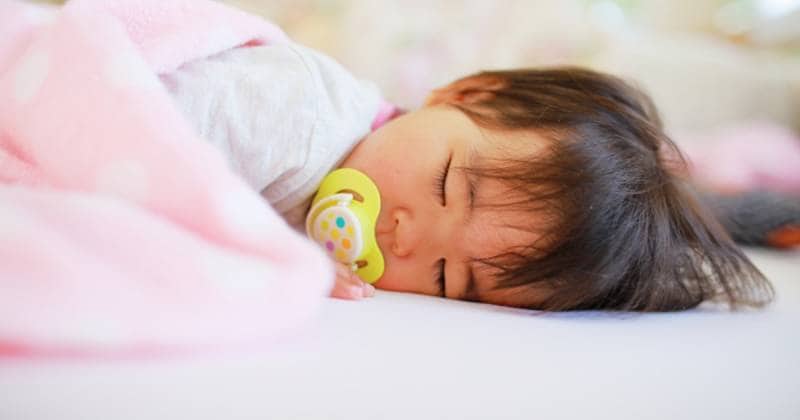 ダブル使いで赤ちゃんも安心 布団に潜むダニを退治する方法 アイリスプラザ メディア