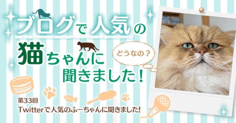 Twitterで人気のふーちゃんに聞きました アイリスプラザ メディア Twitterで人気のふーちゃんに聞きました アイリスプラザ メディア