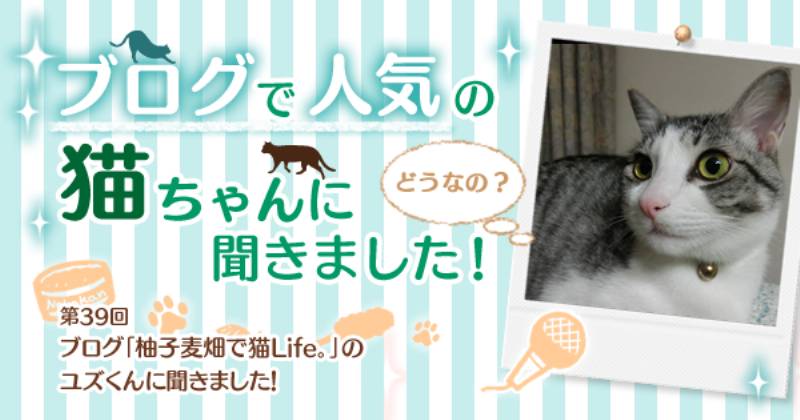 ブログ「柚子麦畑で猫Life。」のユズくんに聞きました！  アイリス 