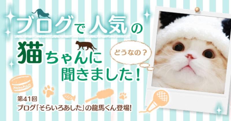 ブログ そらいろあした の龍馬くんに聞きました アイリスプラザ メディア ブログ そらいろあした の龍馬くんに聞きました アイリスプラザ メディア