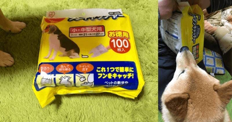 そのままトイレに流せる ペーパーフンキャッチャー アイリスプラザ メディア