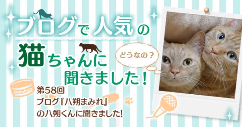 ブログ 八朔まみれ の八朔くんに聞きました アイリスプラザ メディア ブログ 八朔まみれ の八朔くんに聞きました アイリスプラザ メディア