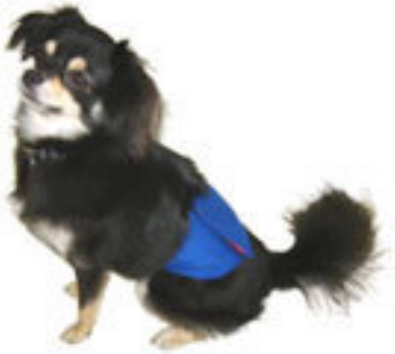 マーキングベルト 手作りワンコグッズ アイリスプラザ メディア