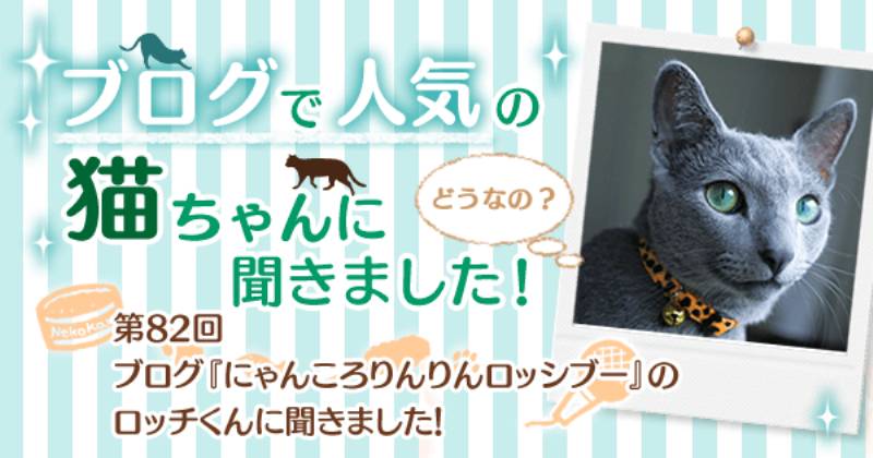 ブログ にゃんころりんりんロッシブー のロッチくんに聞きました アイリスプラザ メディア