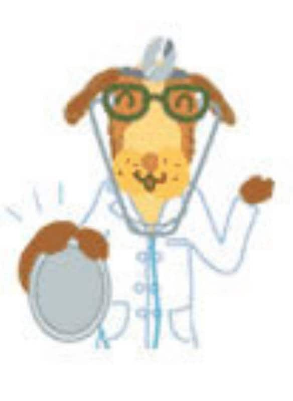 犬の水腎症 アイリスプラザ メディア