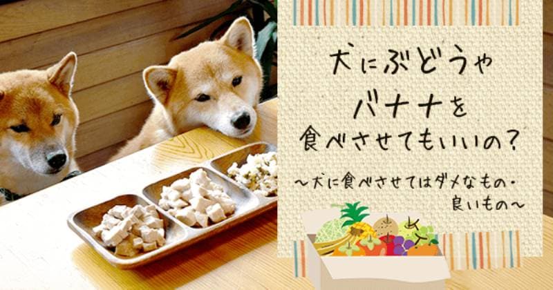 ダメ な 食べ物 犬 食べたらダメ！「犬が食べてはいけないもの」12のリスト