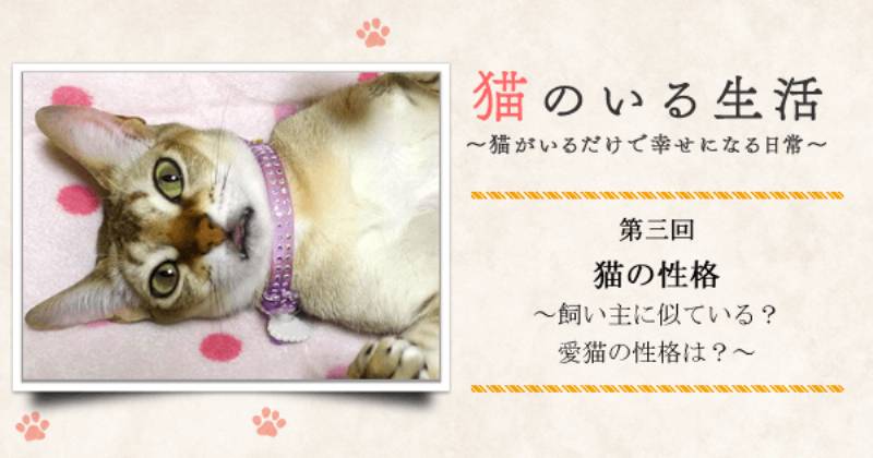 猫の性格 飼い主に似ている 愛猫の性格は アイリスプラザ メディア 猫の性格 飼い主に似ている 愛猫の性格は アイリスプラザ メディア