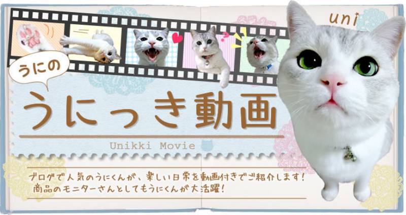 01 うにっき動画 はじめました アイリスプラザ メディア