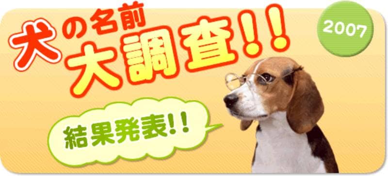 犬の名前ランキング大調査07 結果発表 アイリスプラザ メディア 犬の名前ランキング大調査07 結果発表 アイリスプラザ メディア