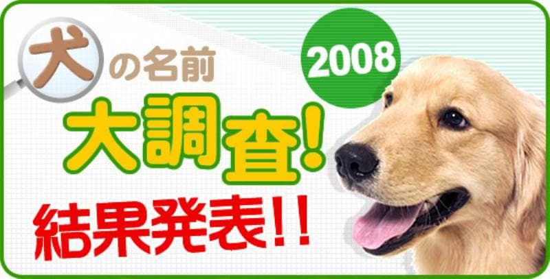 犬の名前ランキング大調査２００８ 結果発表 アイリスプラザ メディア