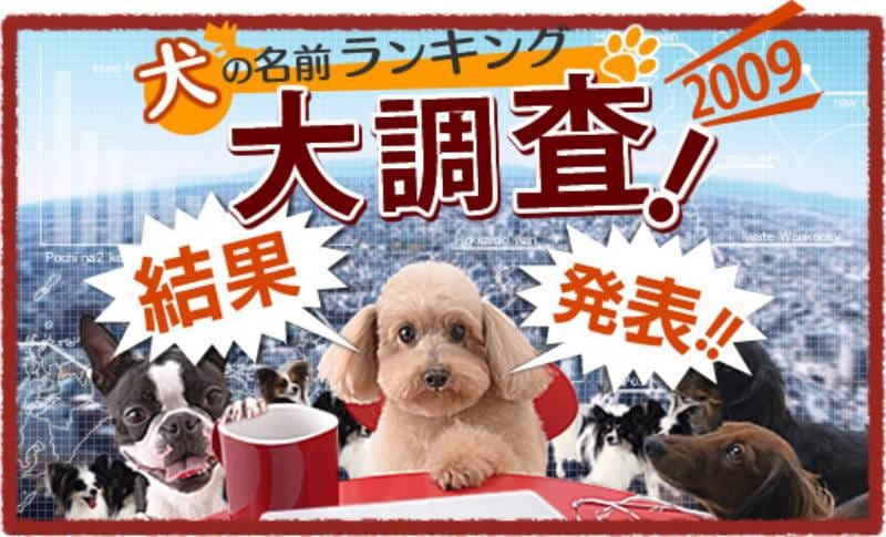 犬の名前ランキング大調査２００９ 結果発表 アイリスプラザ メディア