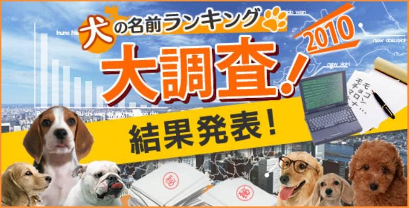 犬の名前ランキング大調査2010 結果発表 アイリスプラザ メディア 犬の名前ランキング大調査2010 結果発表 アイリスプラザ メディア
