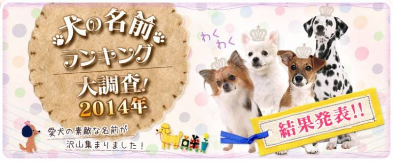 犬の名前ランキング大調査14 結果発表 アイリスプラザ メディア 犬の名前ランキング大調査14 結果発表 アイリスプラザ メディア