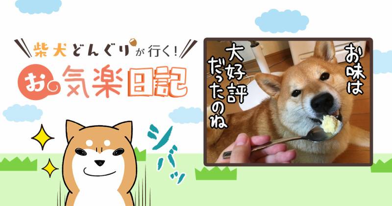 自家製アイスクリームが簡単に作れる 柴犬どんぐり アイリスプラザ メディア