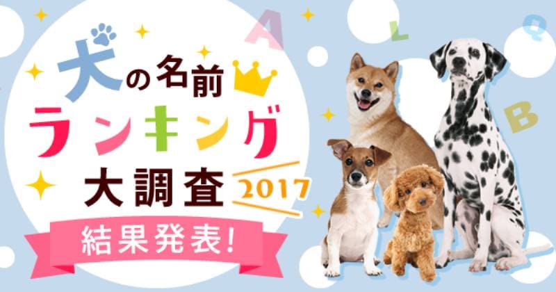 犬の名前ランキング大調査17 結果発表 アイリスプラザ メディア