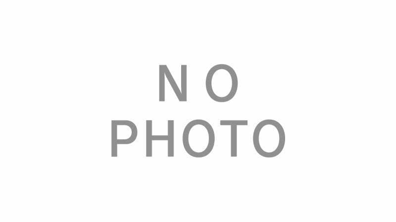 スノーシュー～猫の種類・猫図鑑  アイリスプラザ_メディア