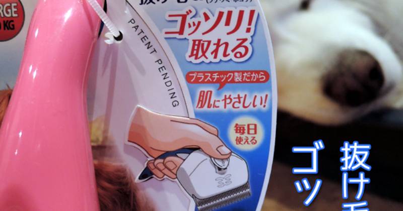 抜け毛お手入れの強い味方 フーリーイージー アイリスプラザ メディア