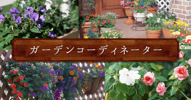 ライティングガーデン アイリスプラザ メディア