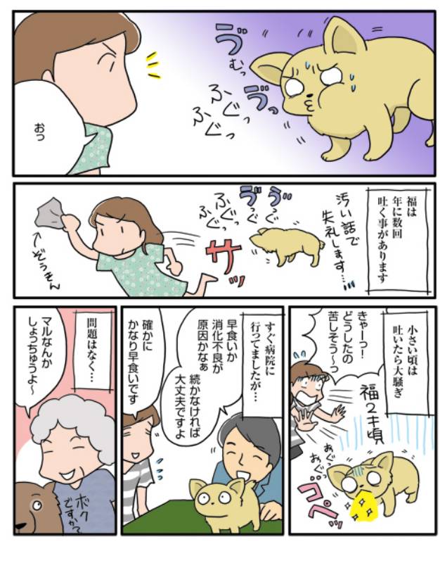 リバース アイリスプラザ メディア