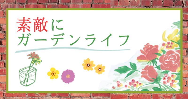コニファーのトピアリー仕立て アイリスプラザ メディア