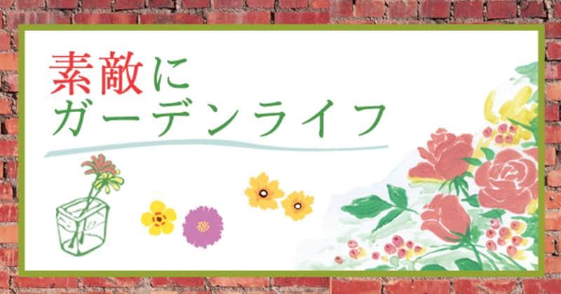 特別な日に生花のコサージュを アイリスプラザ メディア 特別な日に生花のコサージュを アイリスプラザ メディア