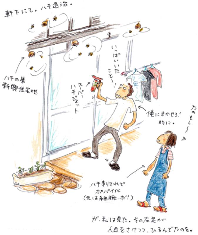ハチとの上手な付き合い方 アイリスプラザ メディア ハチとの上手な付き合い方 アイリスプラザ メディア