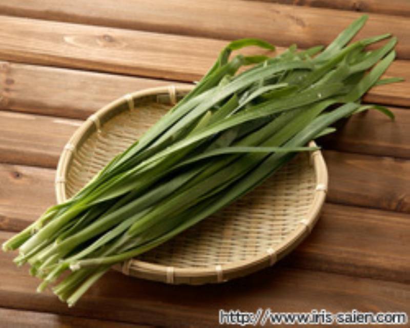 ニラ 独特の香りが食欲を刺激 アイリスプラザ メディア